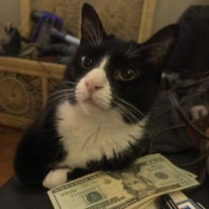 EVERYTHING MUST GO!!!!!